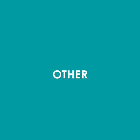 OTHER.png