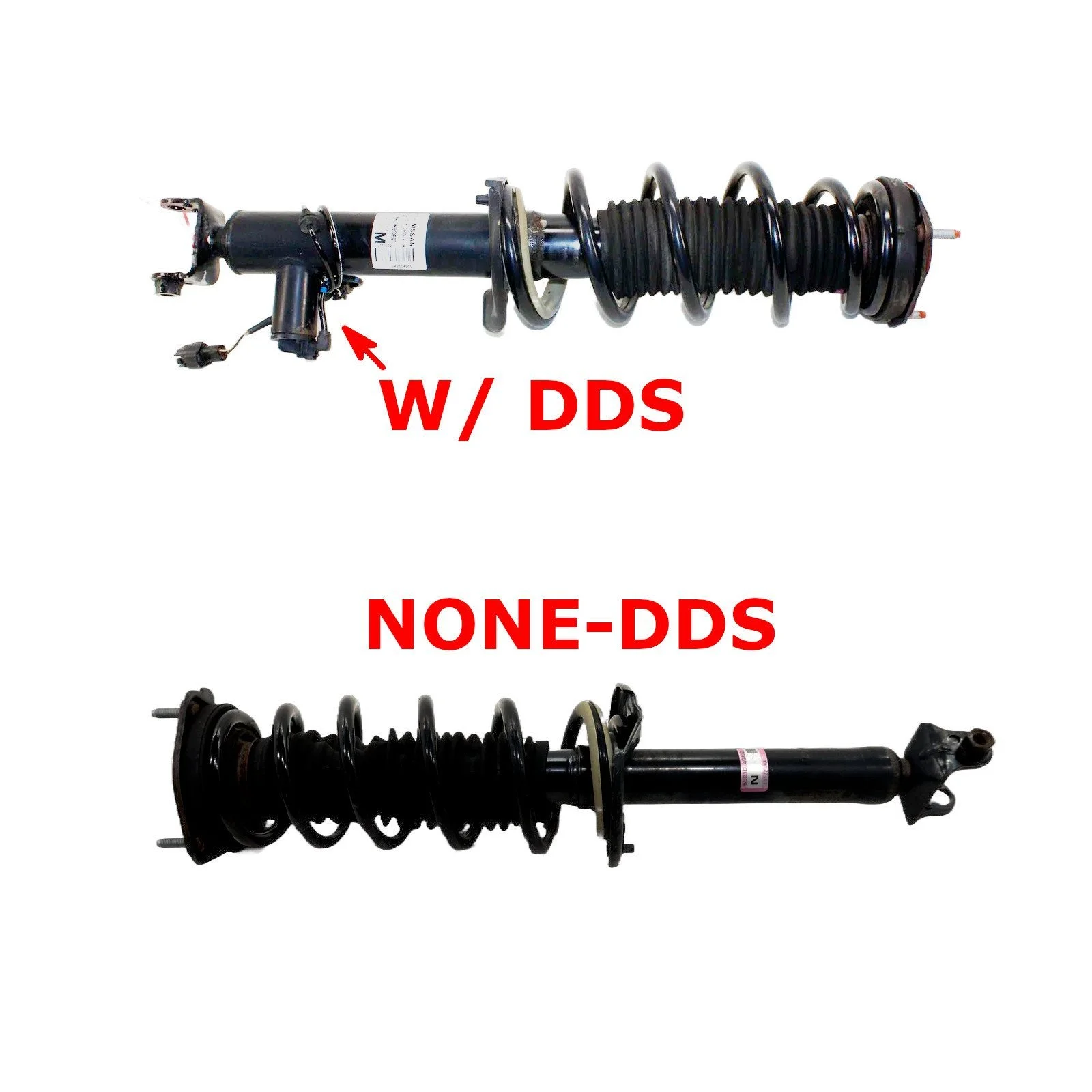 ED7.jpg (Copy)