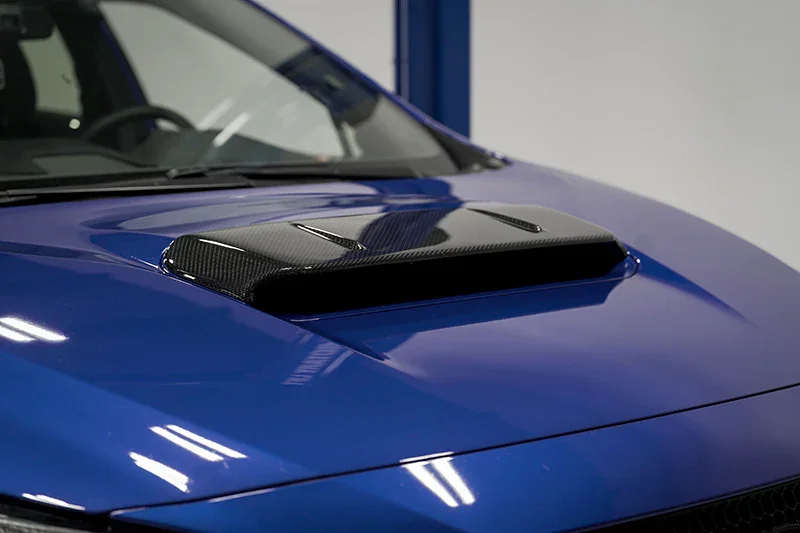 ed5.webp