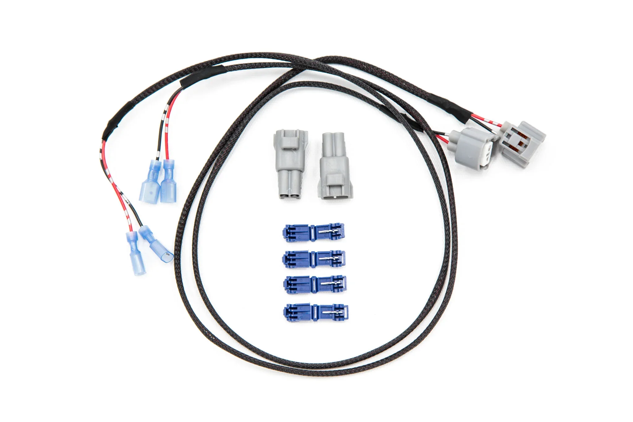 ed.webp