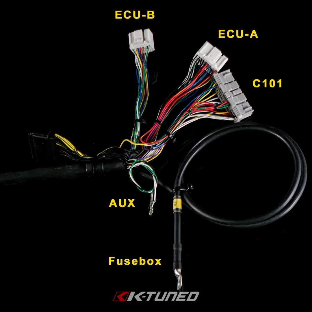 ed9.webp (Copy)