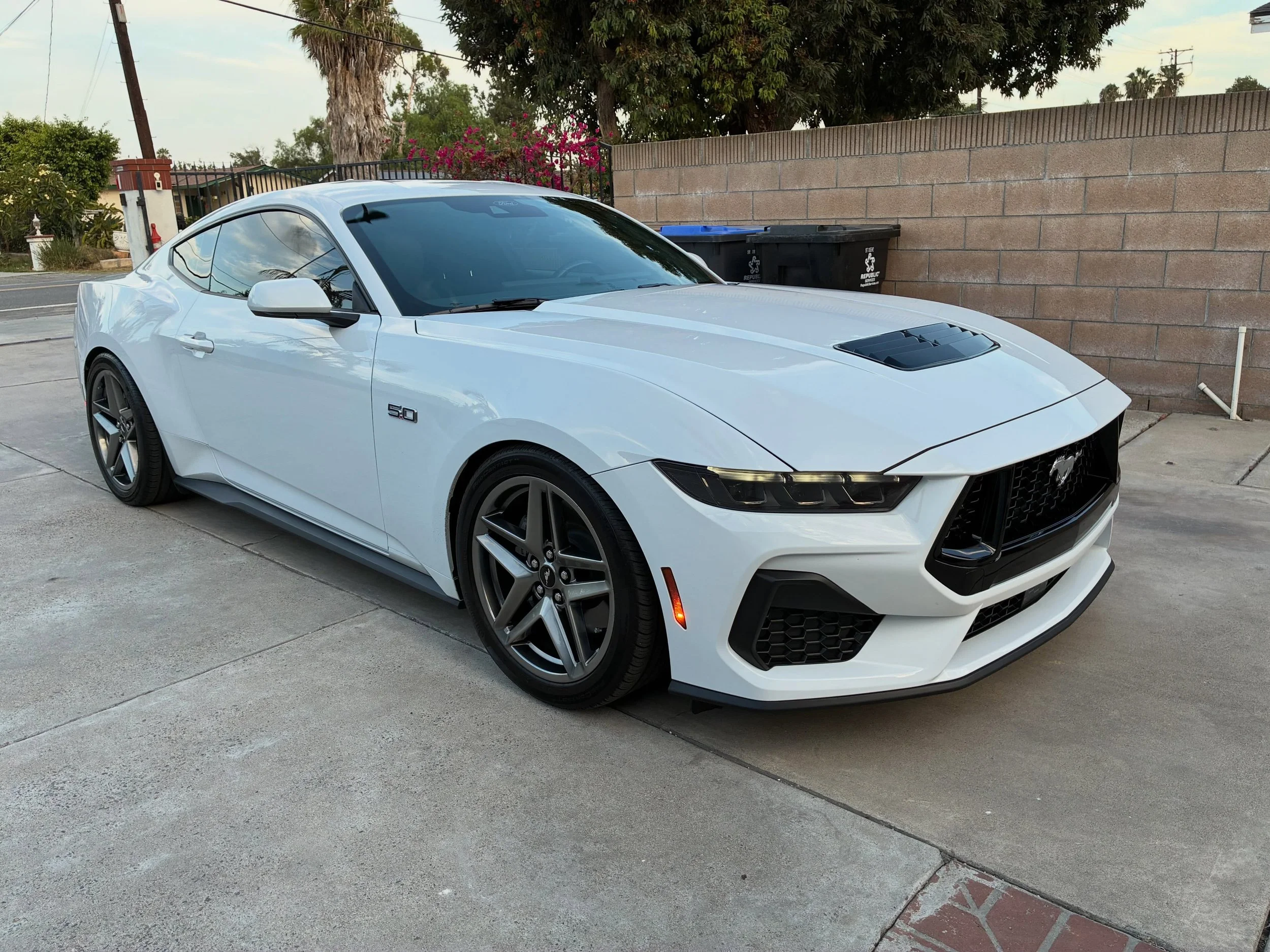 Client S650 Mustang 

#s650 #s650mustang #fordmustanggt #mustang #kenjigarage