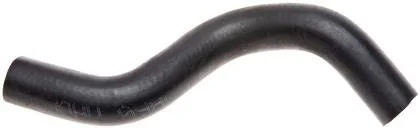 ed.jpg (Copy)