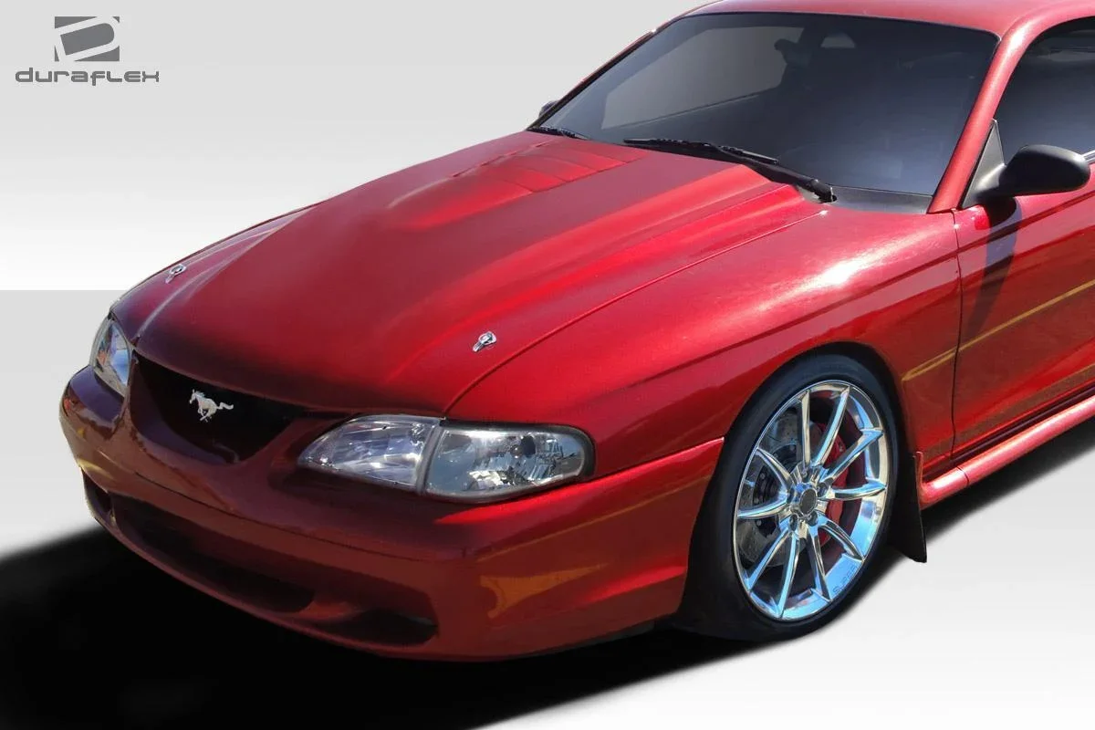 ed2.webp