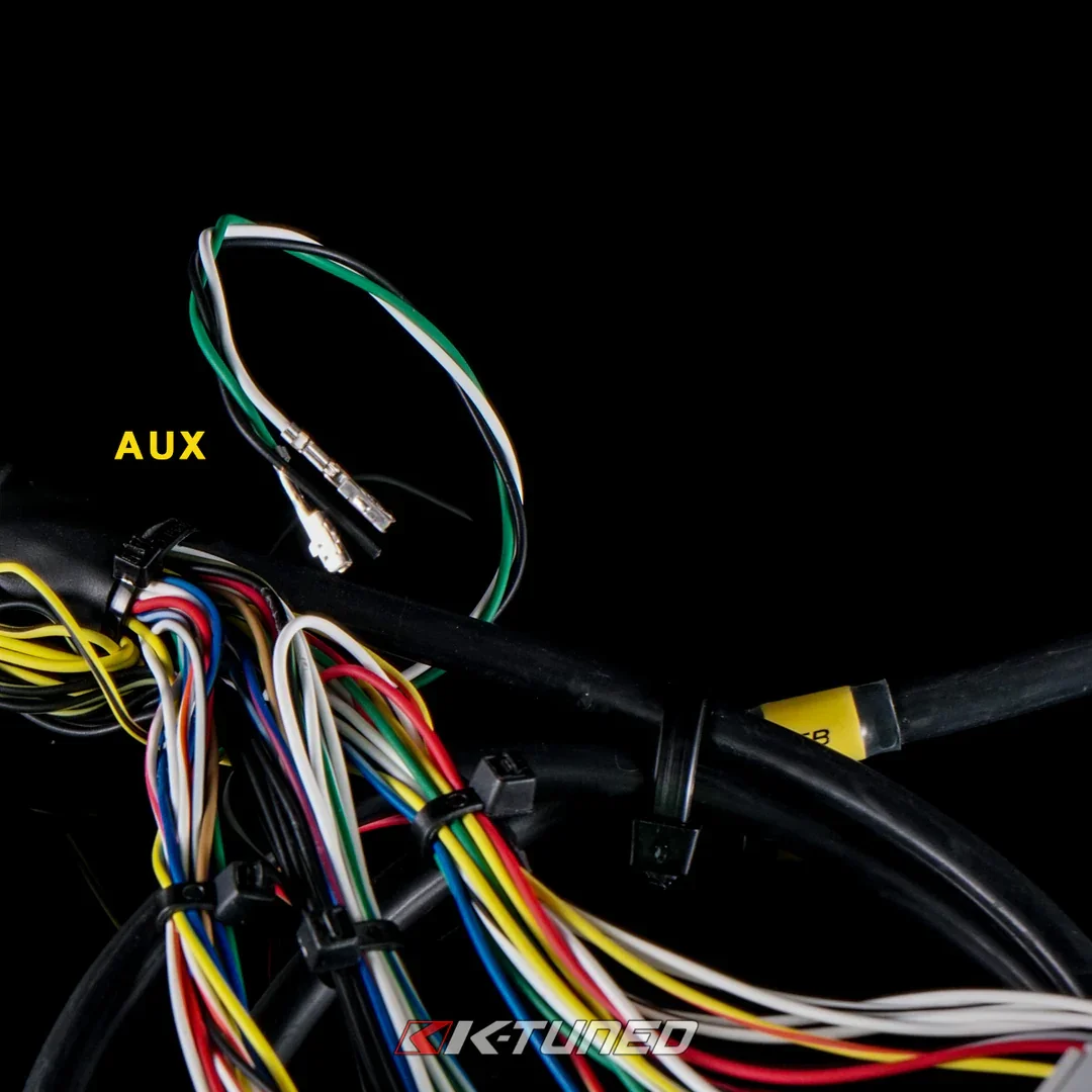 ed12.webp (Copy)