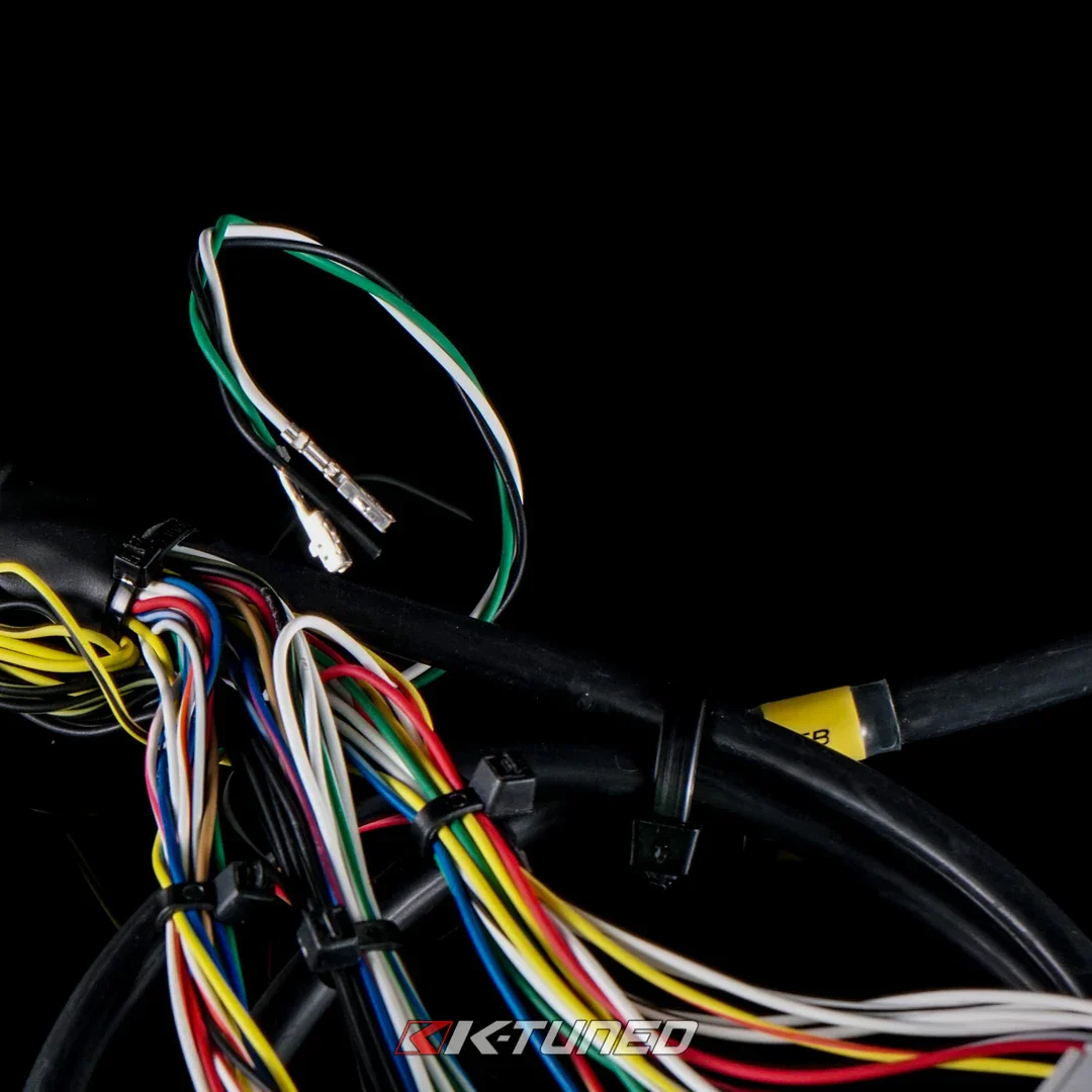 ed11.webp (Copy)