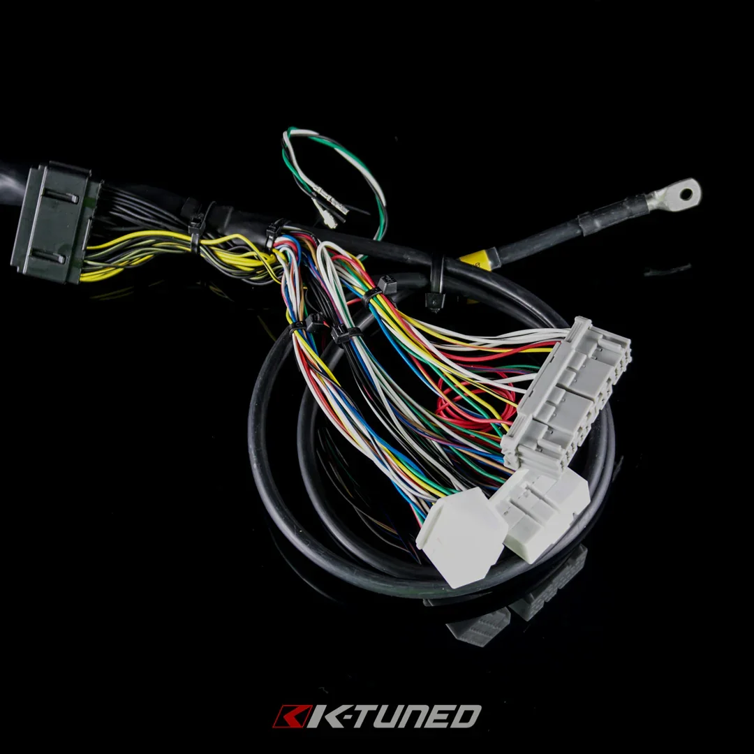 ed10.webp (Copy)
