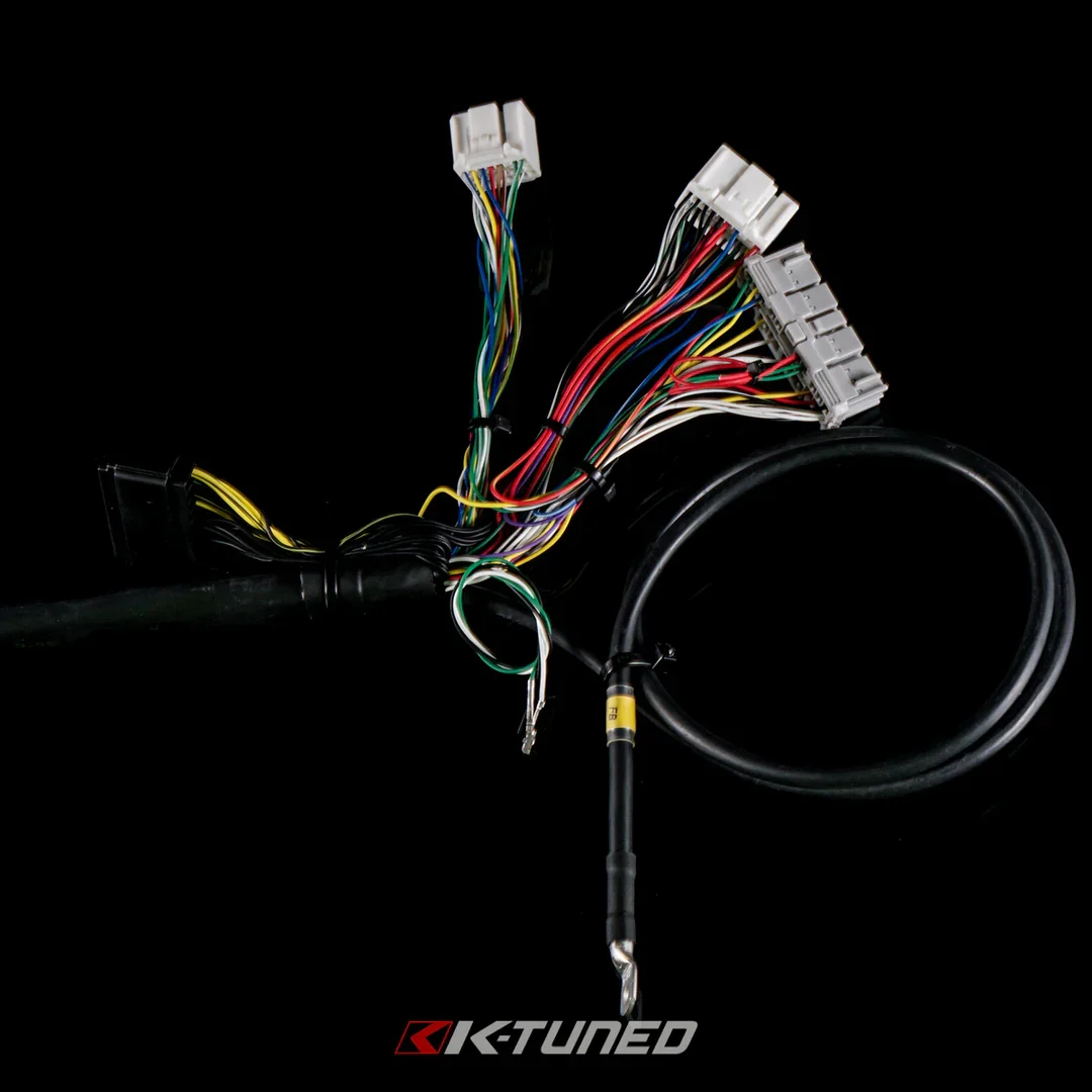 ed8.webp (Copy)