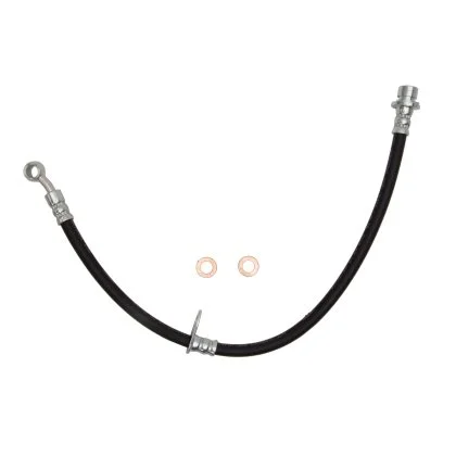 ed2.jpeg