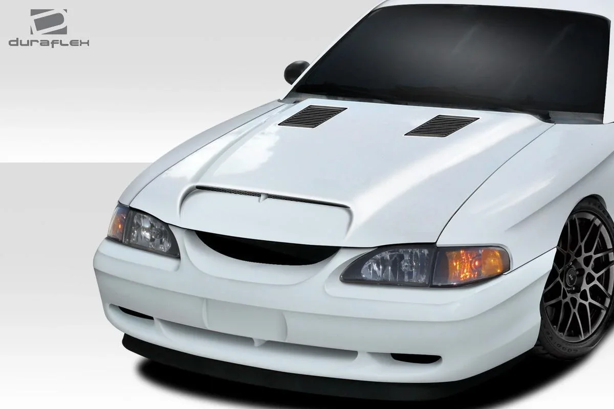 ed2.webp