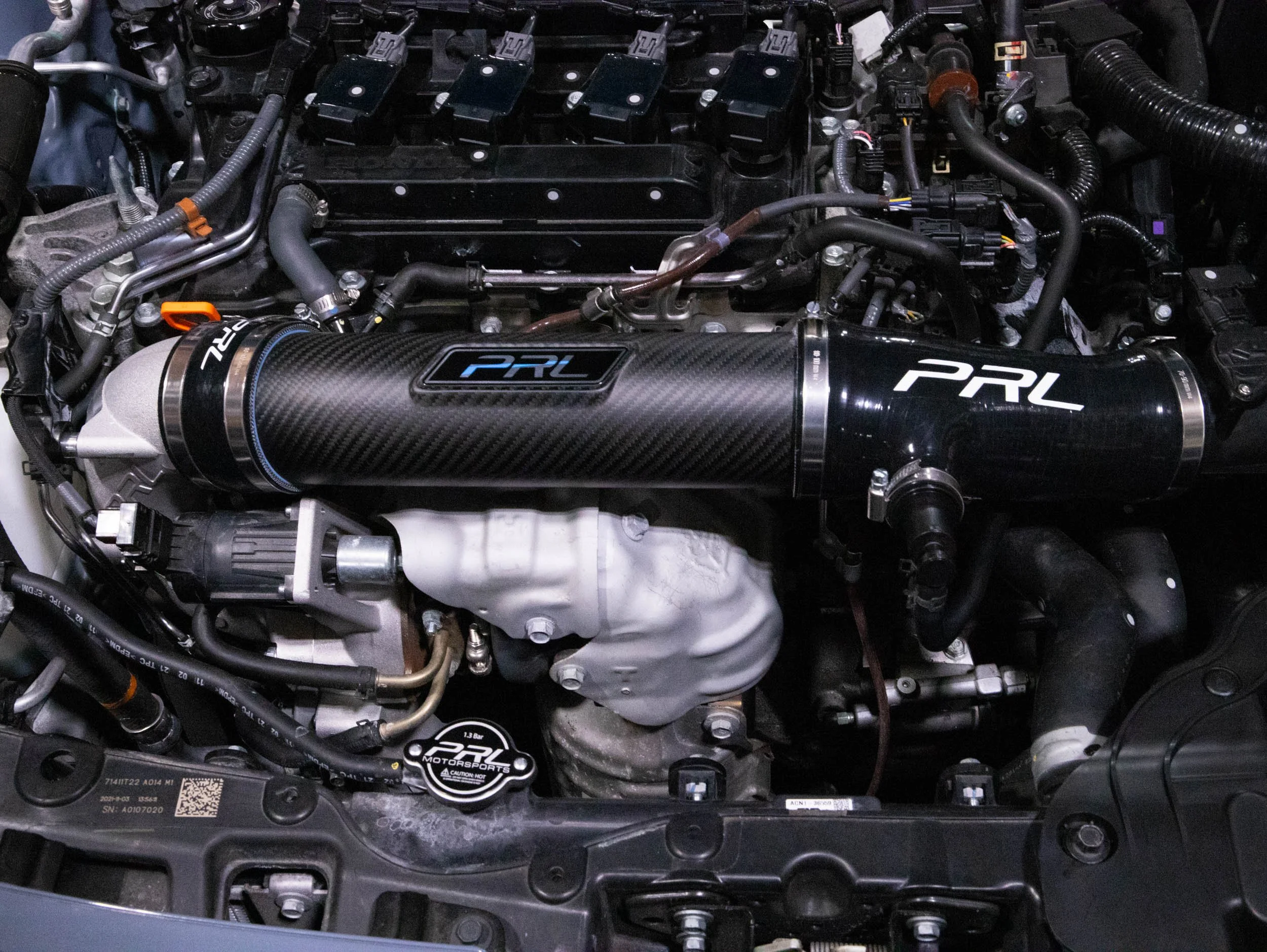 PRL.1097.1.CARM (3).jpg