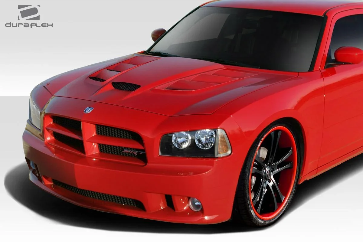 ed2.webp