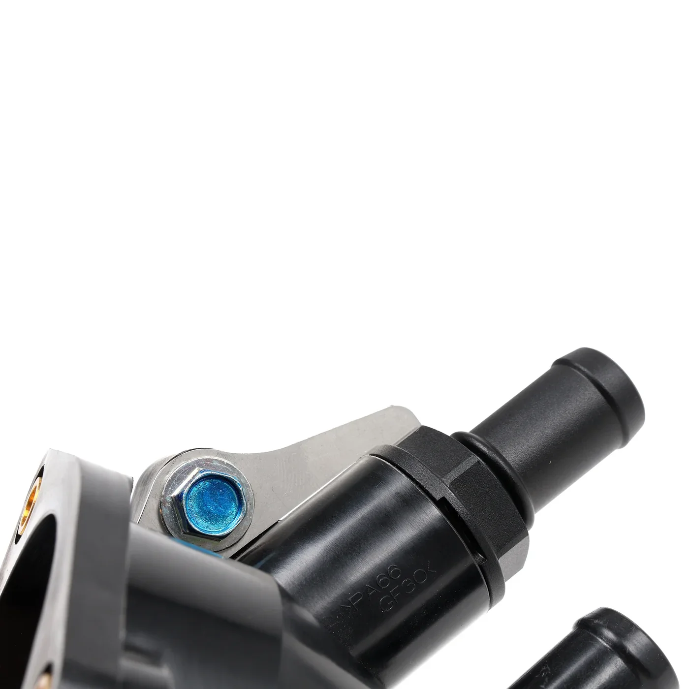 ed9.webp (Copy)