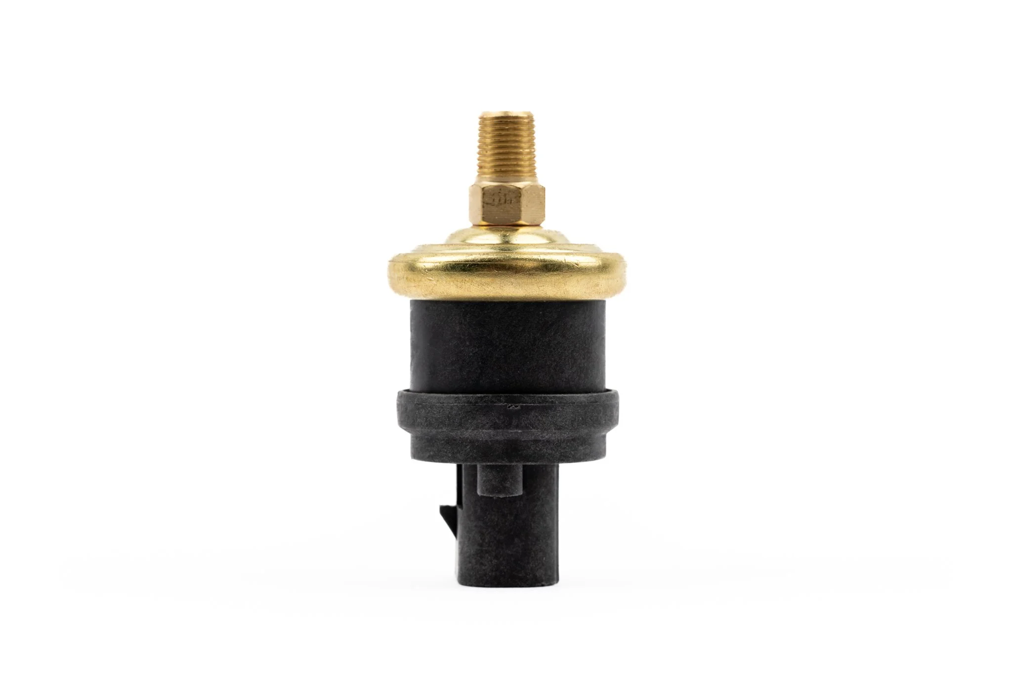 ed3.jpg (Copy)