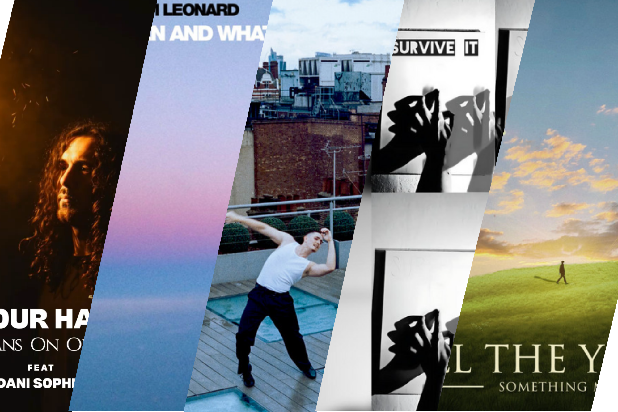 LITM ROCK PICKS FEATURING ALL THE YOUNG, TOM LEONARD AND MORE!