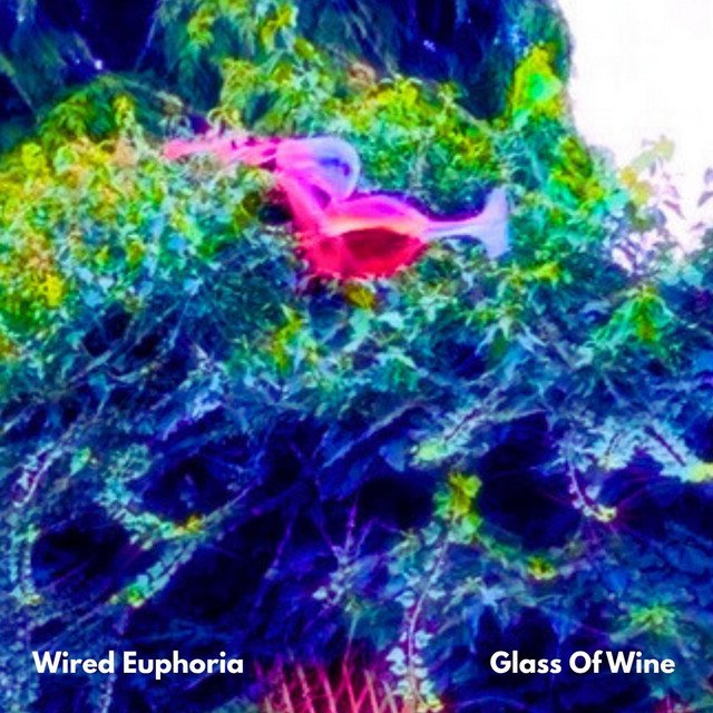 Wired Euphoria Cranks the Energy Up on ‘Glass of Wine’!