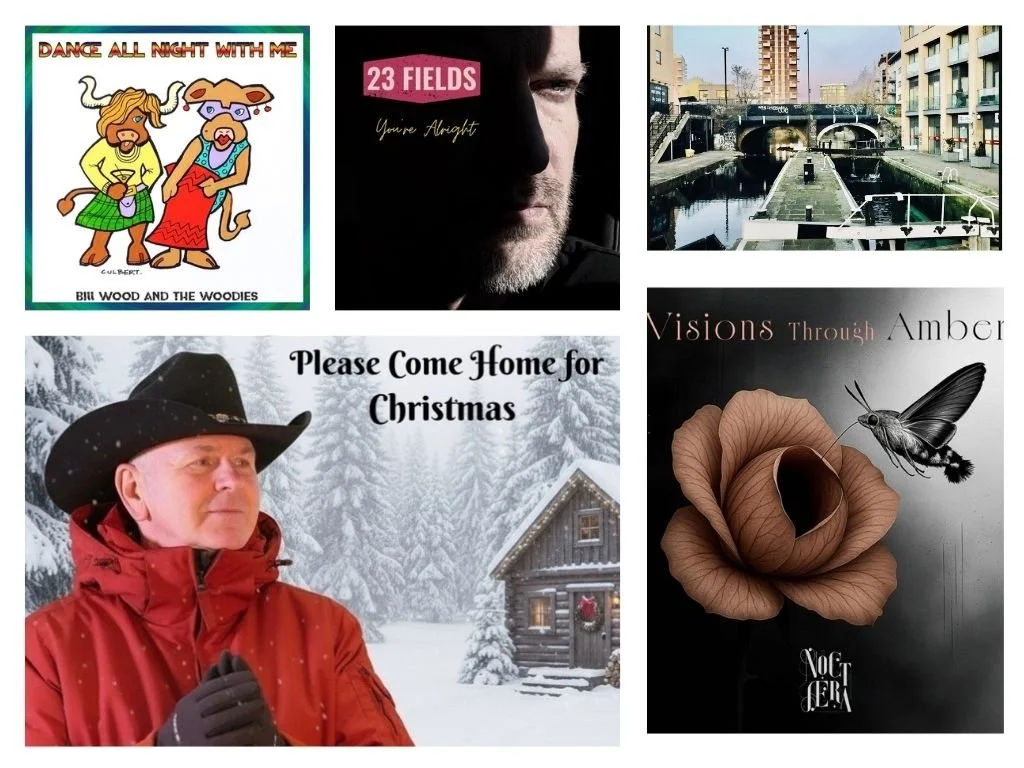 LITM Singer-Songwriter Picks, featuring 23 Fields, John Smyths, Bill Wood &amp; The Woodies, and more!
