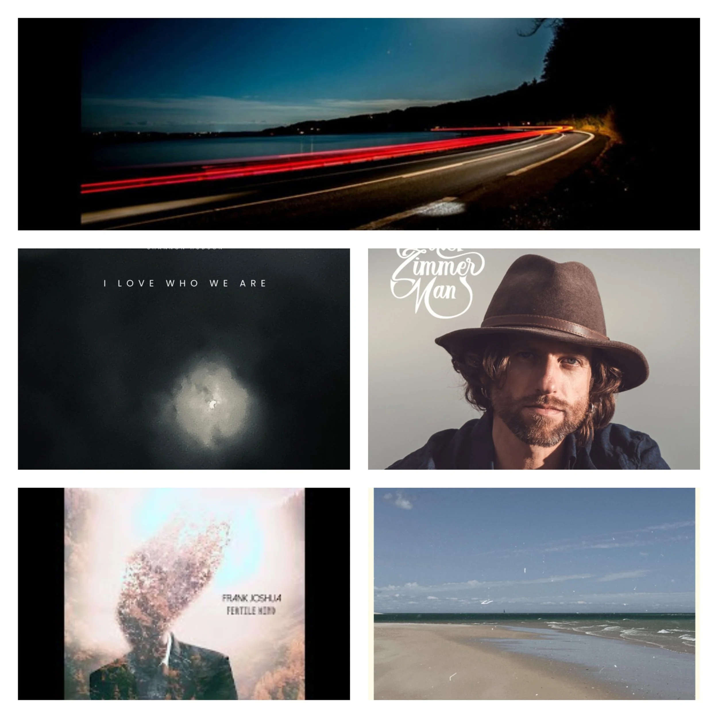 LITM Singer-Songwriter Picks Featuring Alla Igityan, Axel Zimmerman, Frank Joshua and More!