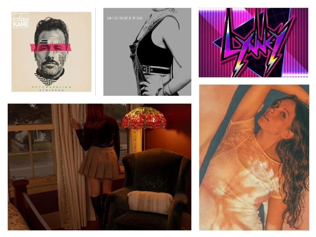 LITM Pop Picks, featuring Rosie Haze, Heddy Edwards, Lynney Williamson, and more!