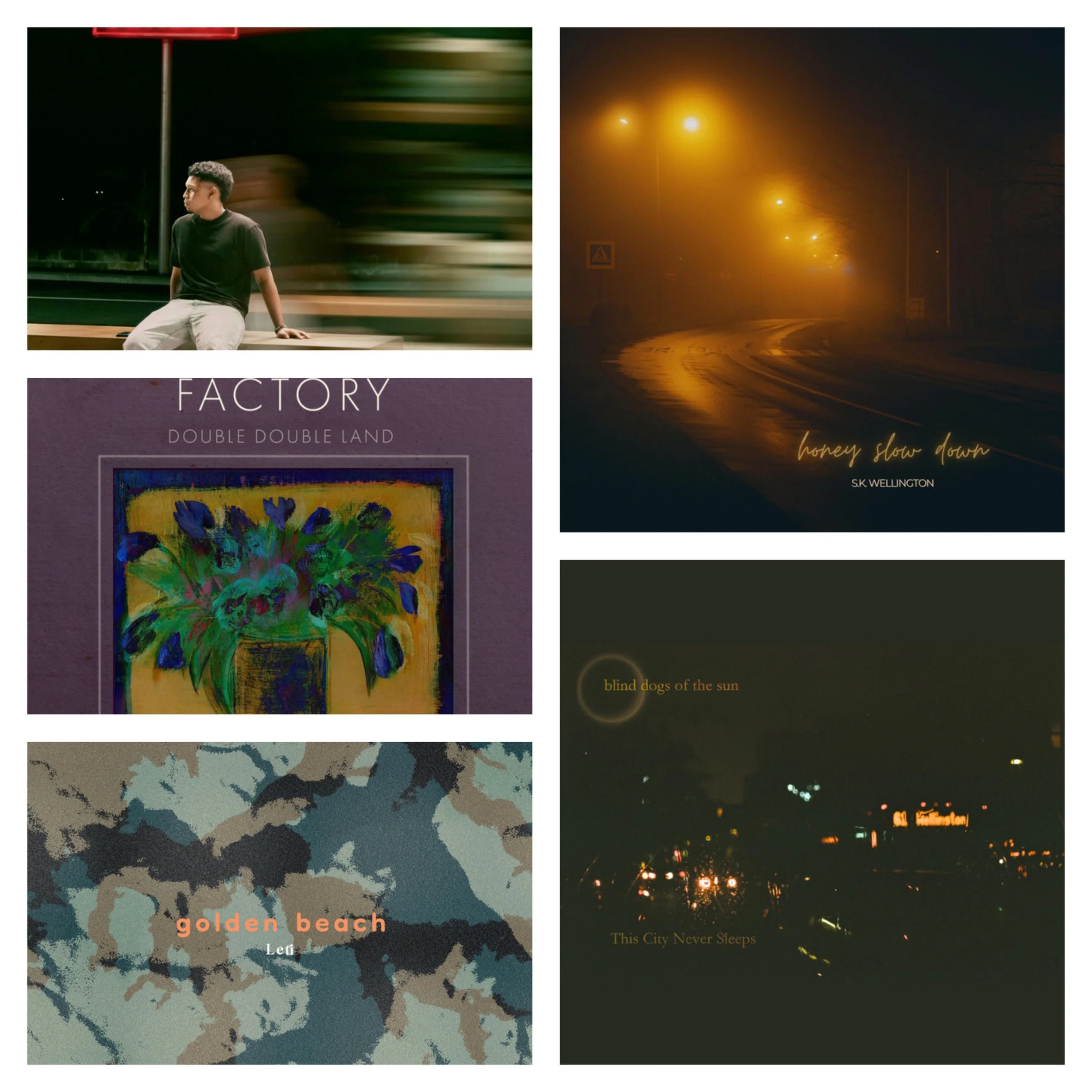 LITM Pop Picks Featuring S.K. Wellington, blind dogs of the sun, LETI and More!