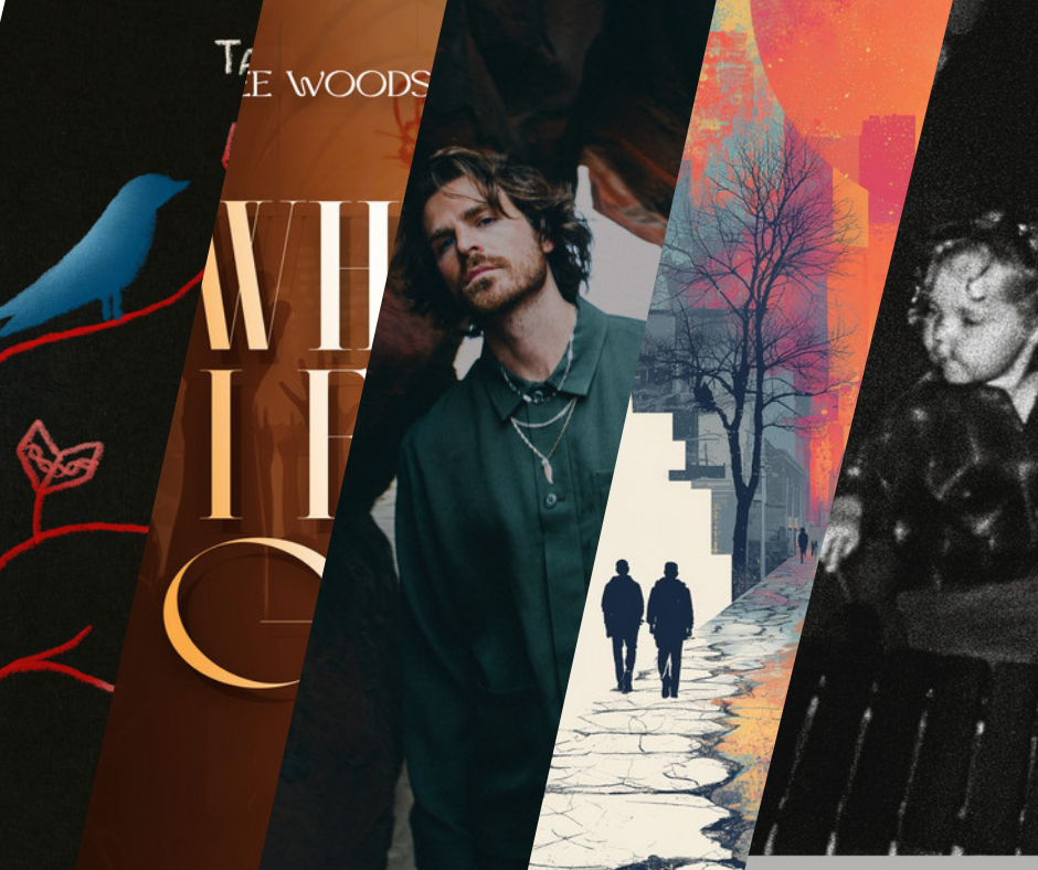 LITM Singer-Songwriter Picks Featuring Andy Smythe, Ashley Ray Simon and more!