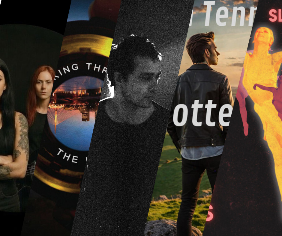 LITM  Rock Picks Featuring Albert Hertz, Martin Tennant and More!