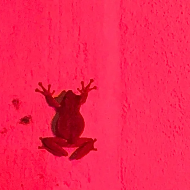 I Am Not Myself by trainboy navigates the chaos that life in a vibrant manner!