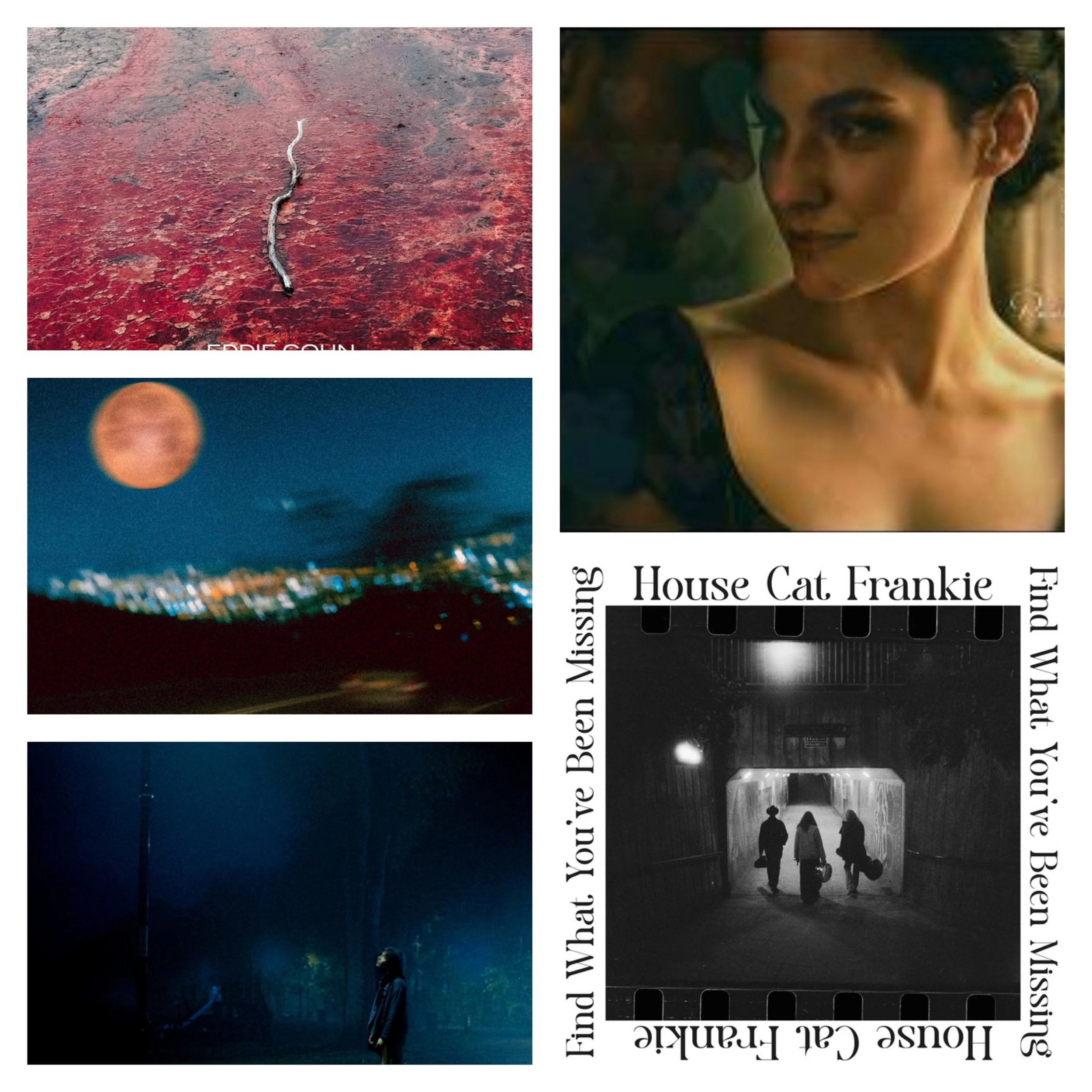 LITM Singer-Songwriter Picks Featuring House Cat Frankie, Paul Louis Villani, Leo Walrus and More!