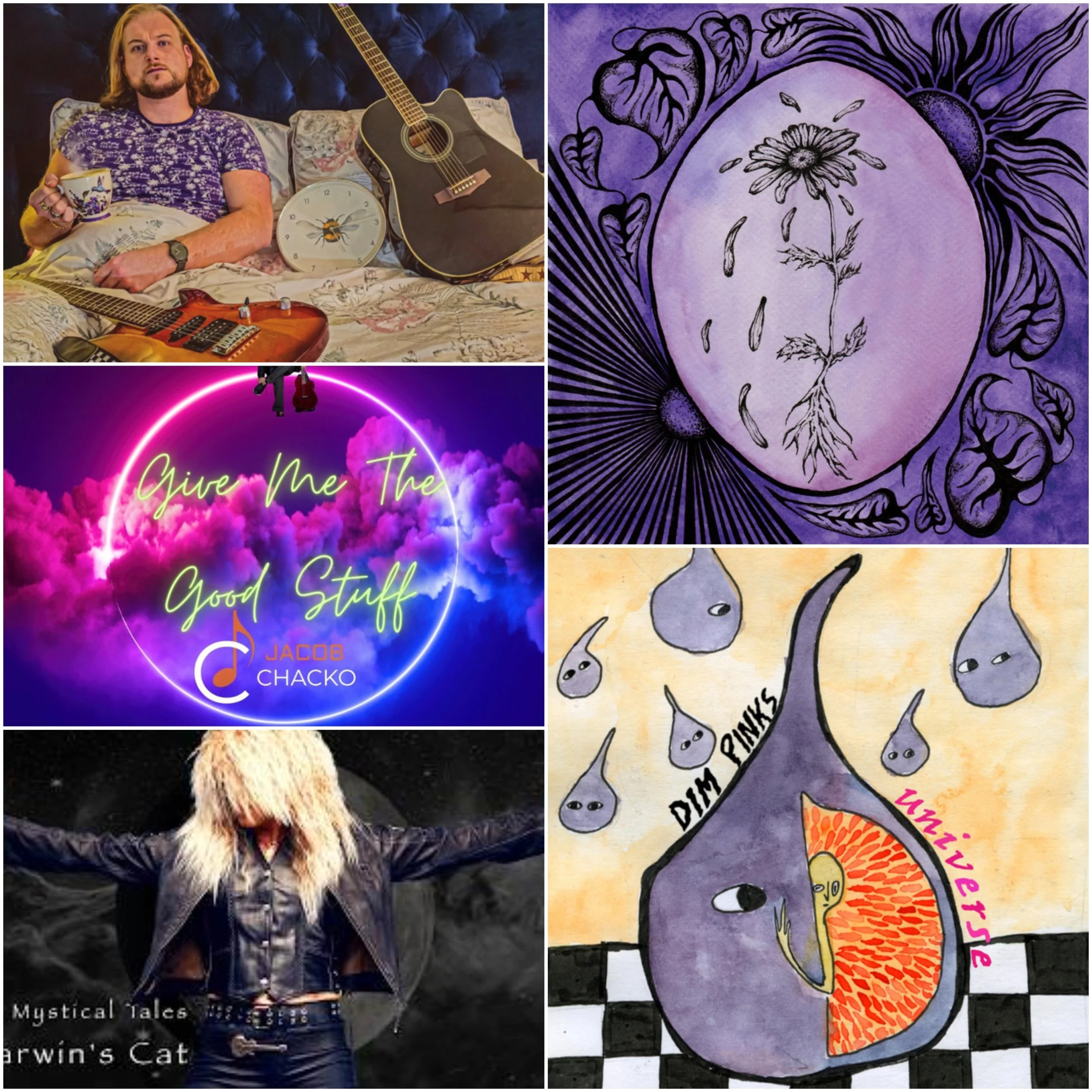 LITM Rock Picks Featuring Dim Pinks, Dogviolet, Petrichor and More!