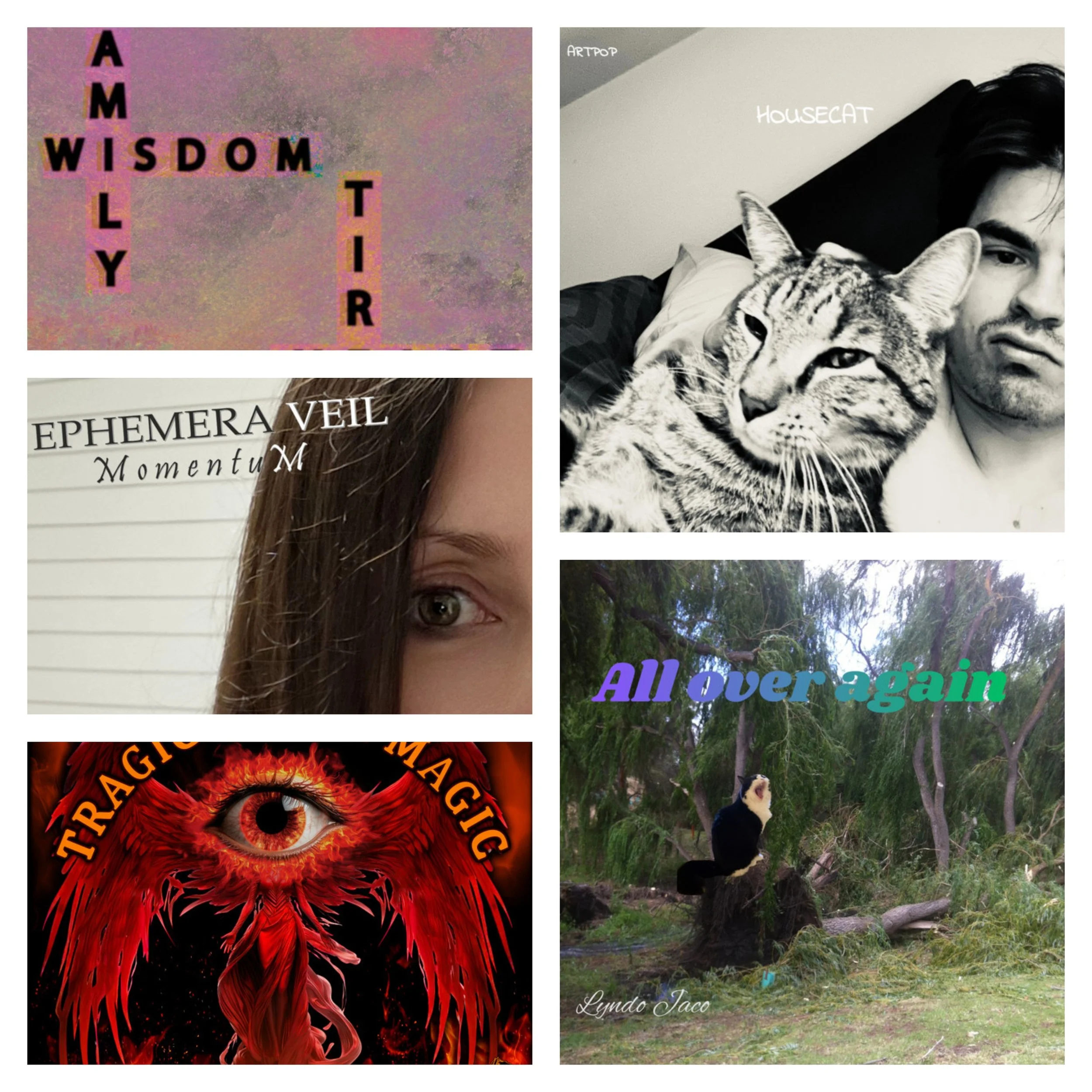 LITM Rock Picks Featuring Lyndo Jaco, art pop, Somewhere Stranger and More!