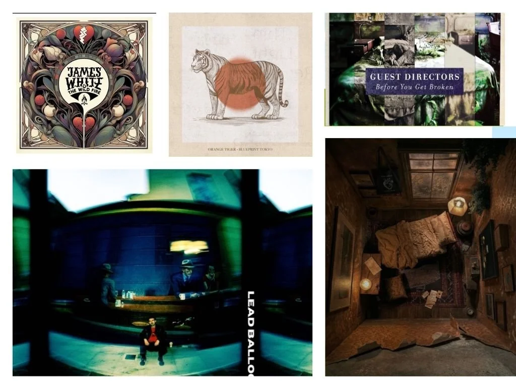 LITM Rock Picks, featuring vtchk, Zak Coghlan, James White &amp; The Wild Fire, and more!