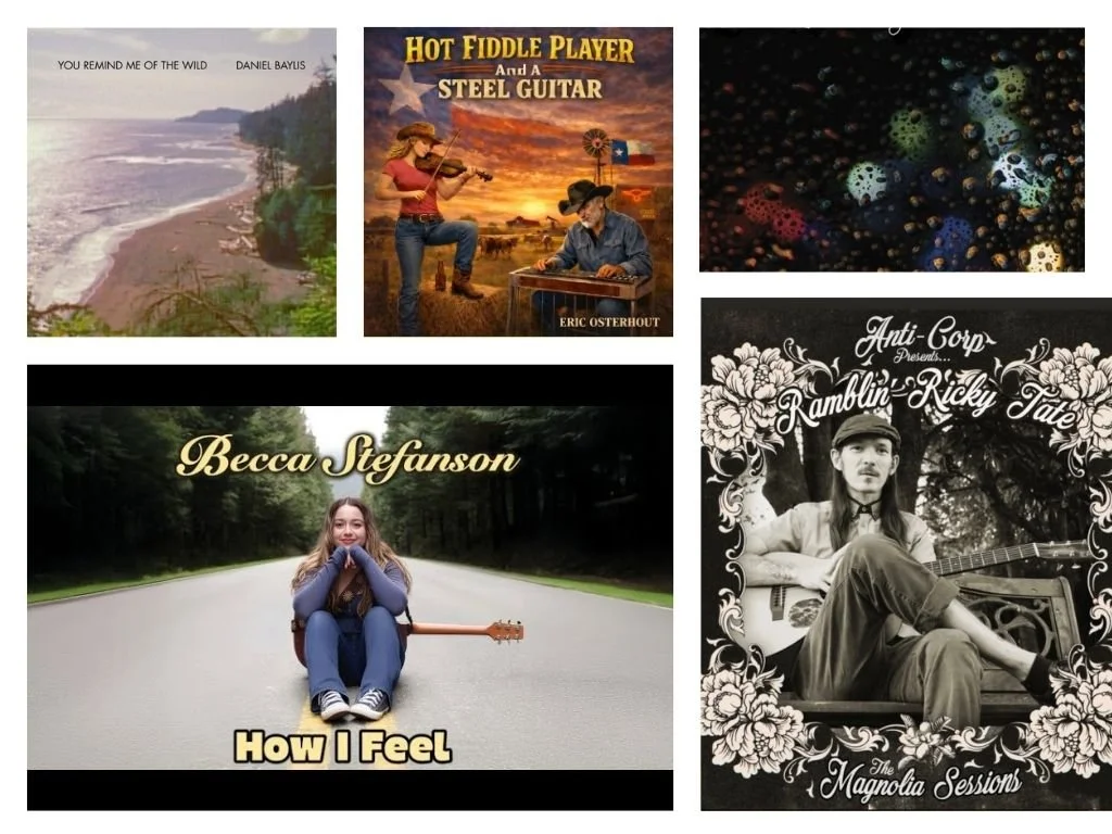 LITM Singer-Songwriter Picks, featuring Becca Stefanson, Sue Horowitz, Daniel Baylis, and more!