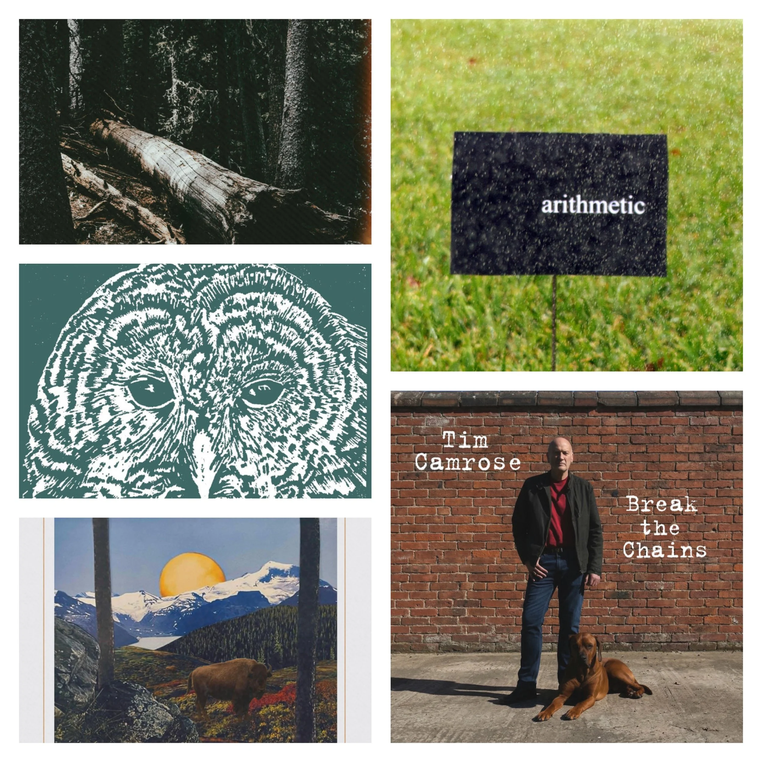 LITM Singer-Songwriter Picks Featuring Camrose, Daydrunk, Twonees and More! 