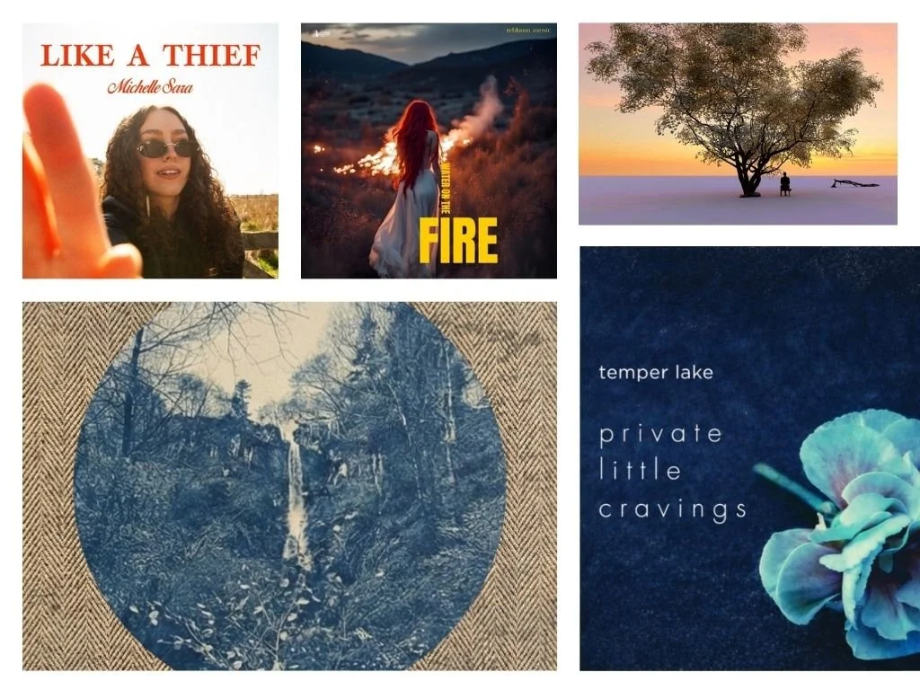 LITM Pop Picks, featuring Mark Andrew Hansen, Rebloom Music, Finlay Birch, and more!
