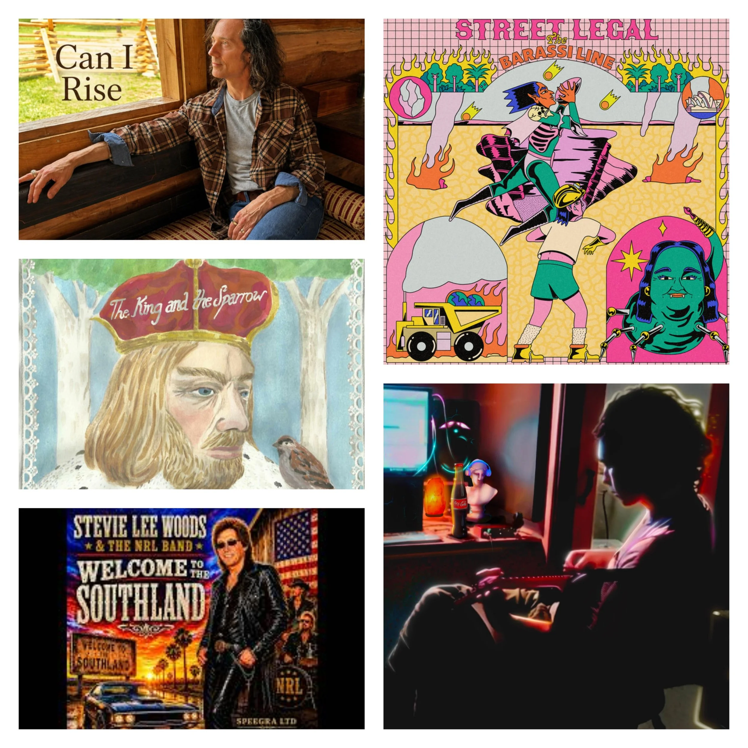 LITM Rock Picks Featuring Terry Dammit, Street Legal, Stevie Lee Woods &amp; The NRL Band and More!