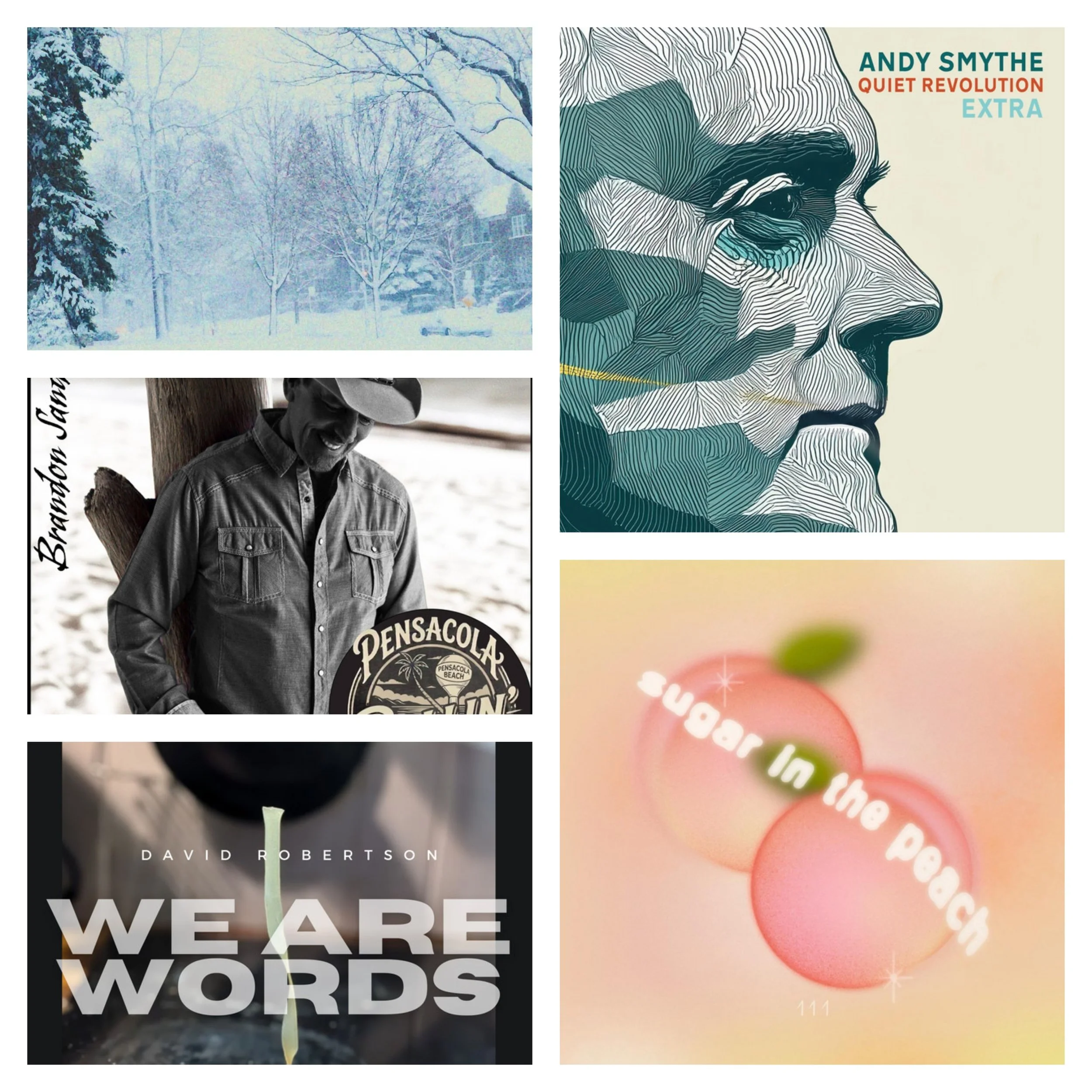 LITM Singer-Songwriter Picks Featuring Tracy Merano, Andy Smythe, David Robertson and More!