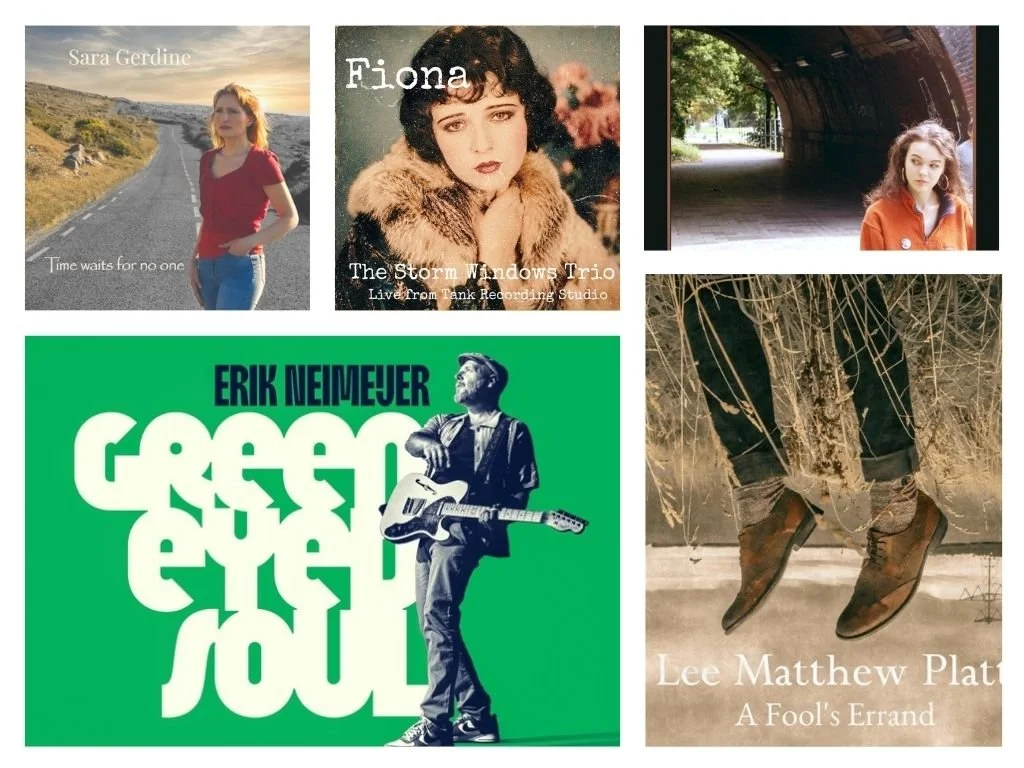 LITM Singer-Songwriter Picks, featuring The Storm Windows, Lee Matthew Platt, Erik Neimeijer, and more!