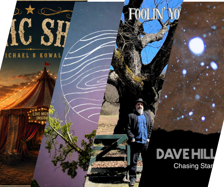 LITM Singer-Songwriter Picks Featuring Lanusa, Dave Hill Jr and More! 