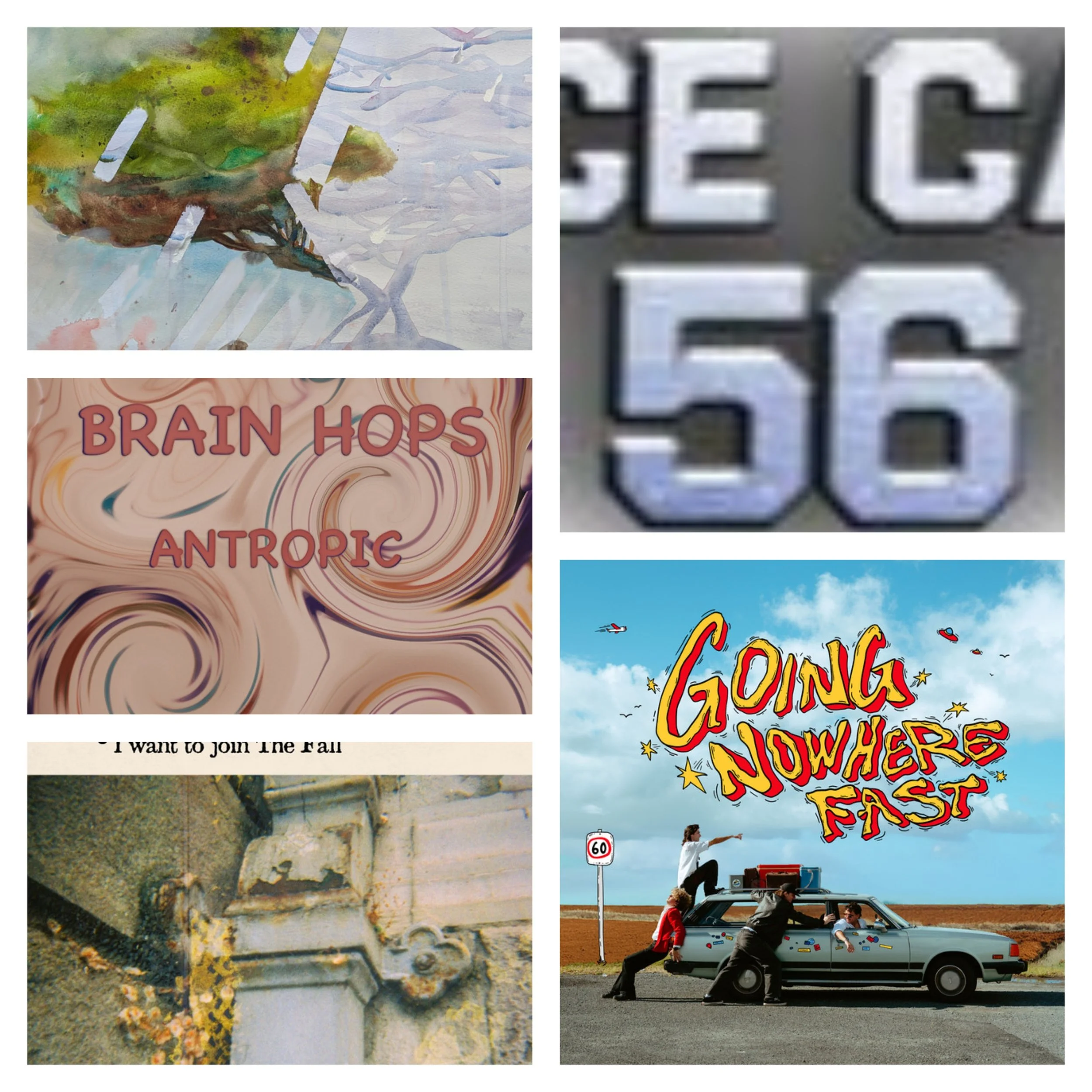 LITM Rock Picks Featuring Loose Goose, Space Cadet 56, Flywheel, and More!