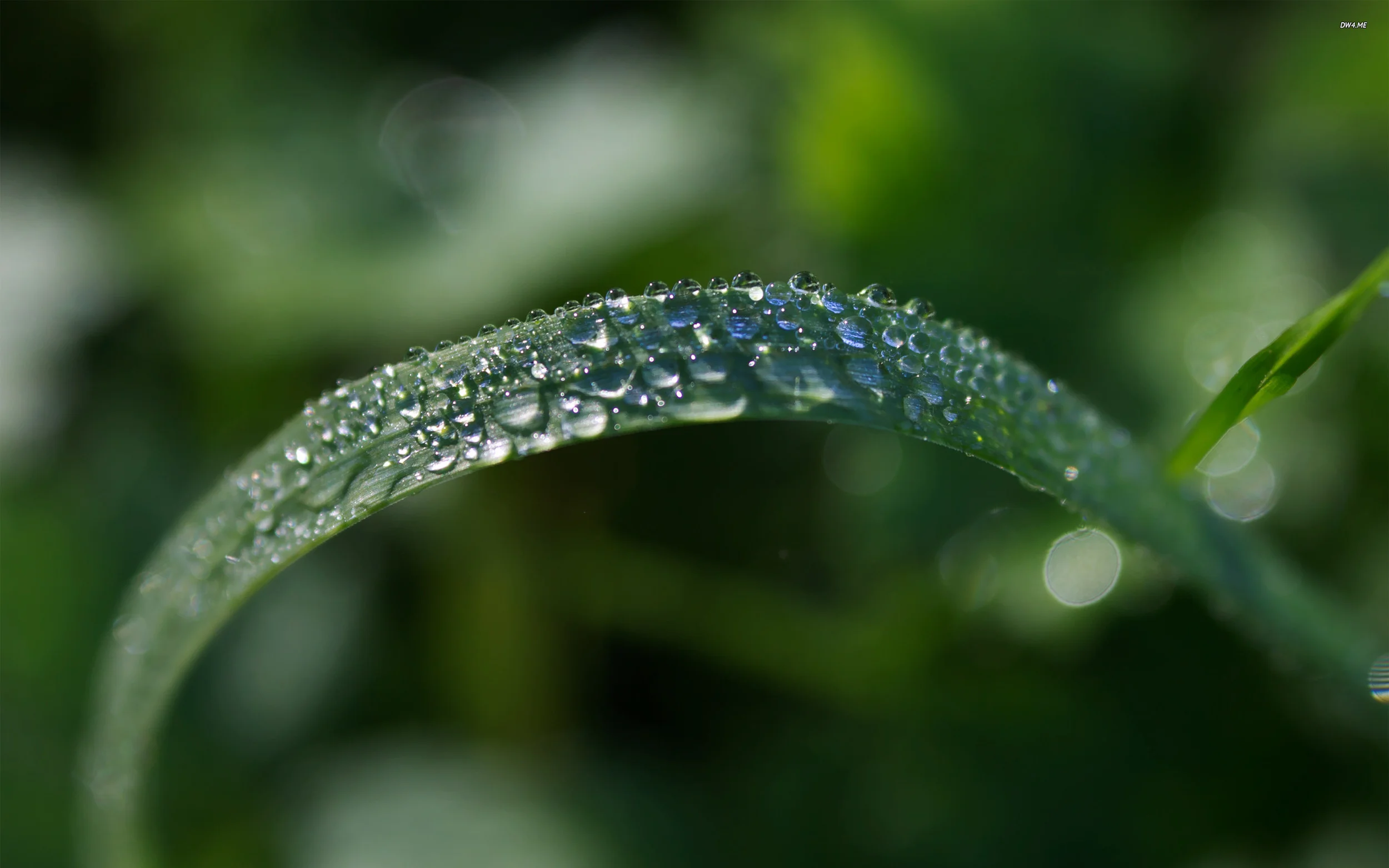 Keep on drinking God's new wine