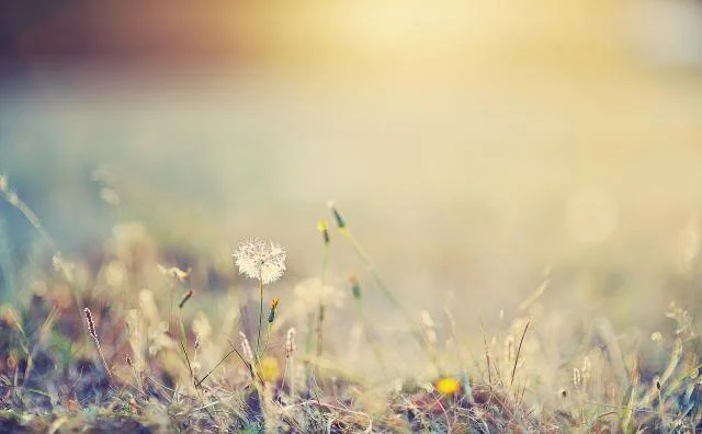 It is time to seek the Lord