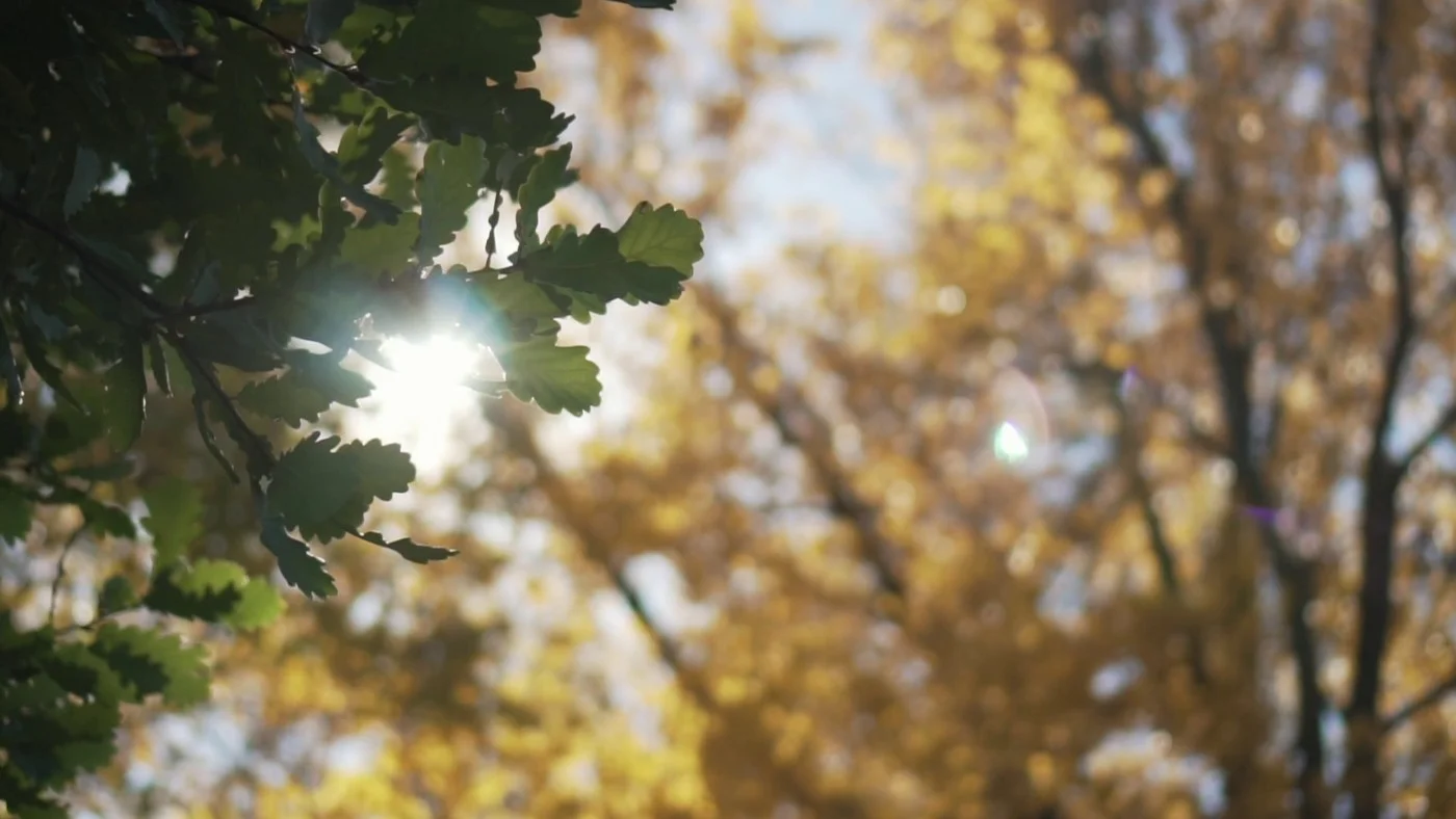 Green_Gold_1400.jpg