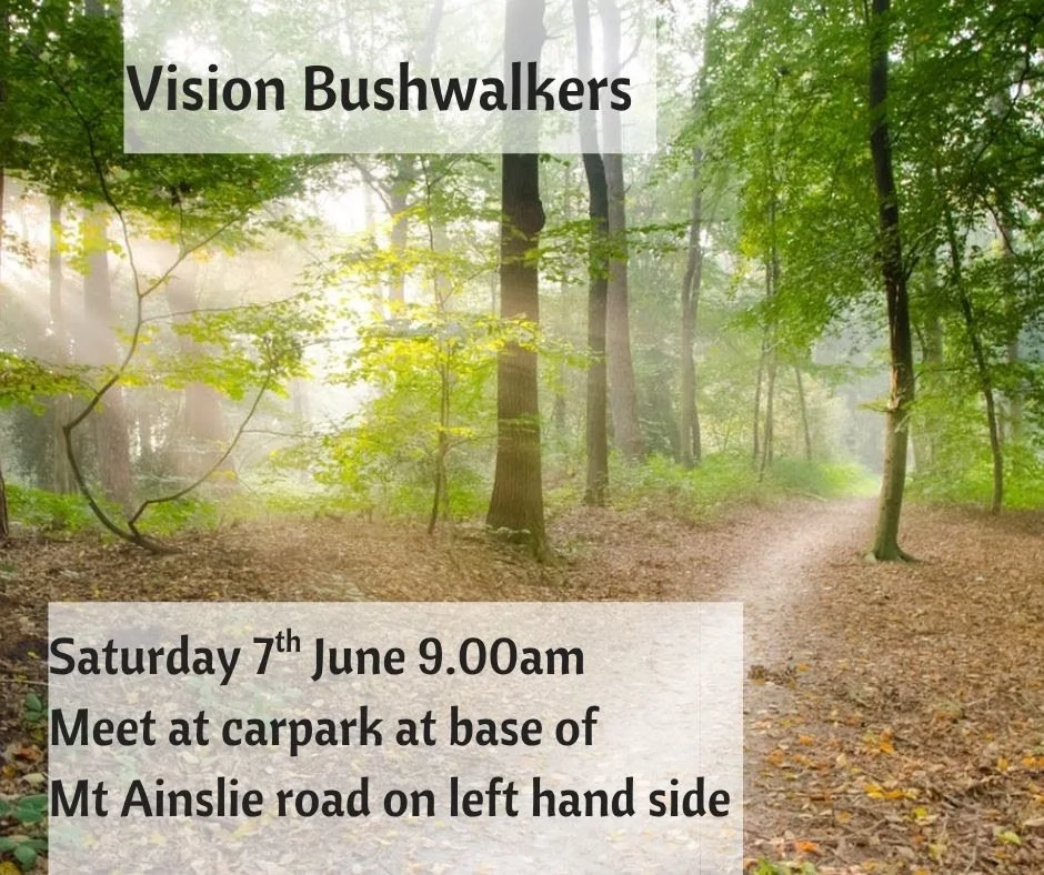 Vision Bushwalkers @ Mt. Ainslie