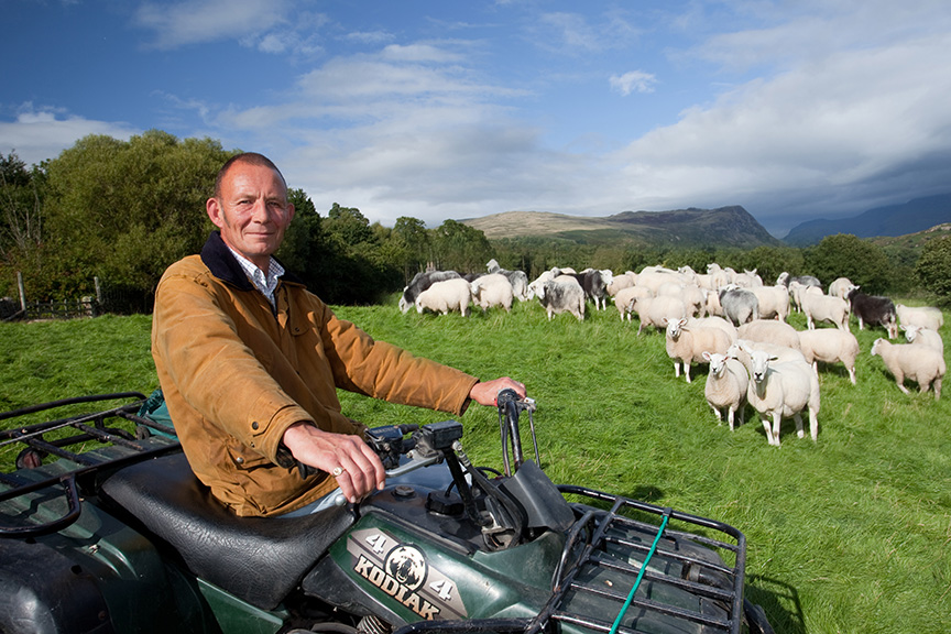 Grant-and-his-flock-or-Herdwick-and-Texel's.jpg