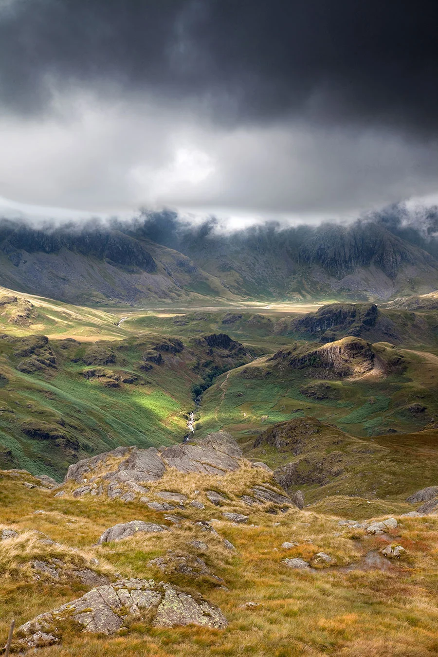 Late-afternoon-sunshine-lights-thew-Upper-Esk-Valley.jpg