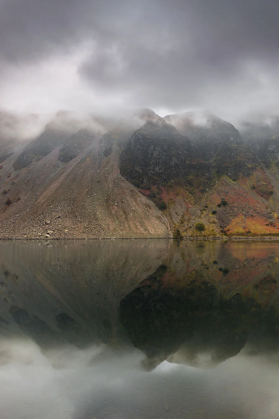 Screes-Patterns.jpg