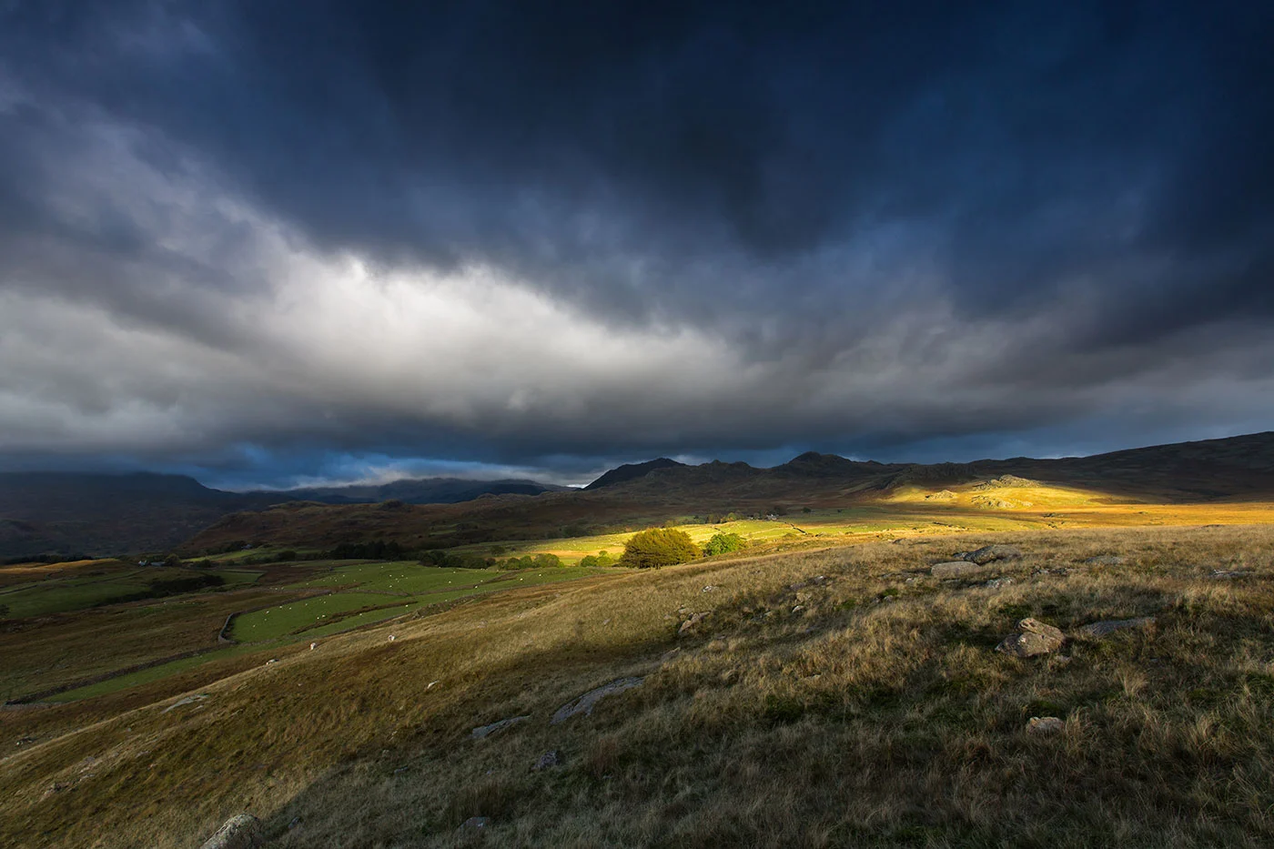 Birker-Moor-failing-Light.jpg