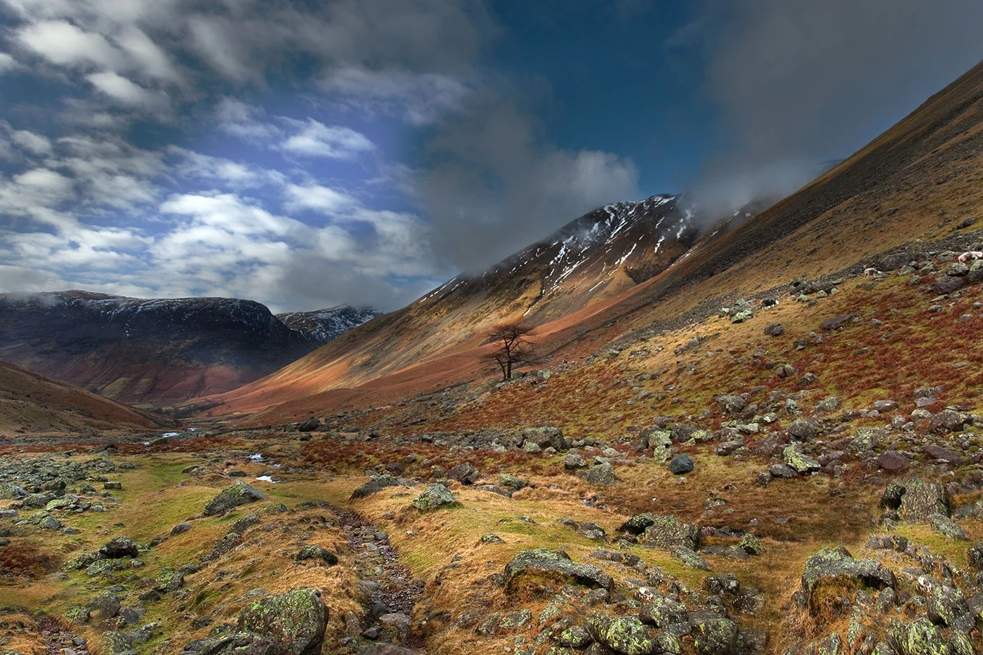 Solitary-tree-on-the-slopes-of-Great-Gable.jpg