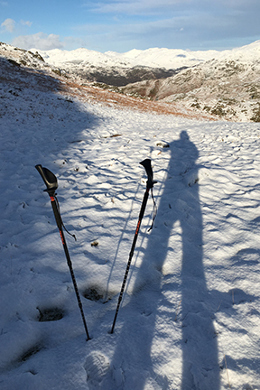 Trusted Pacer Poles