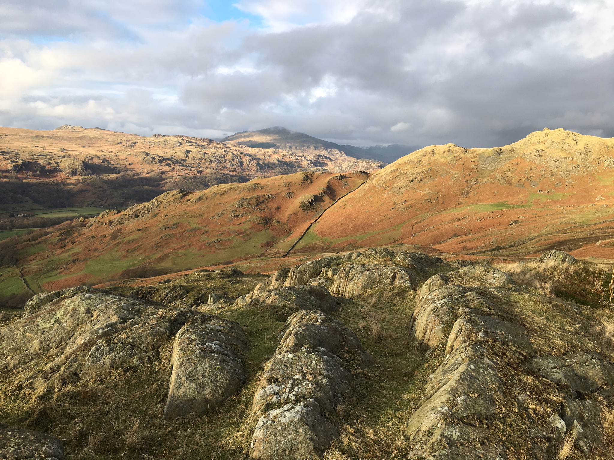 Weddings, Talks and Workshops